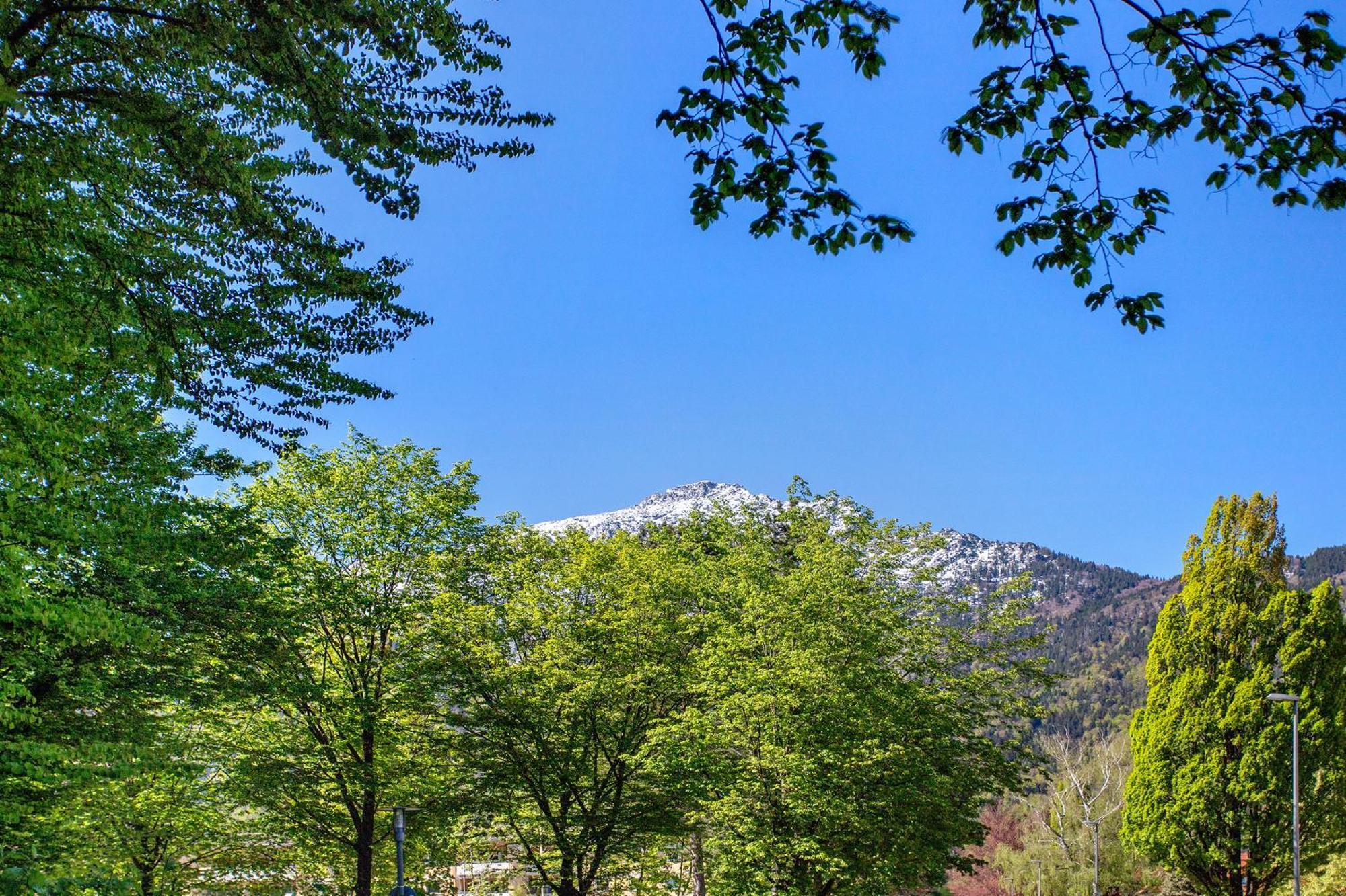 The View Bad Reichenhall Exterior foto